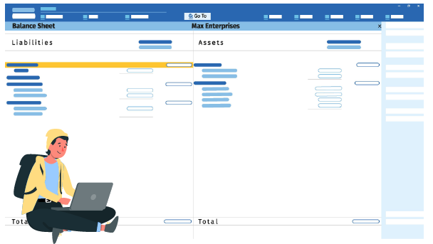 Tally accounting software